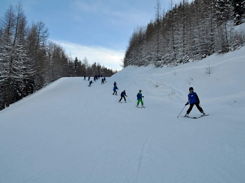 Breite Piste zwischen Bäumen mit einzelnen Fahrenden.